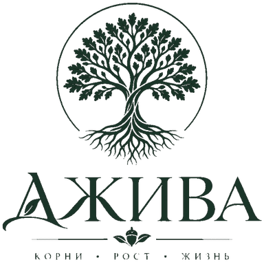 Джива - корни, рост, жизнь
